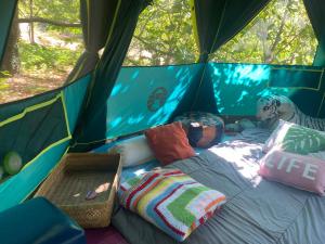 Tentes de luxe Tente pause : photos des chambres