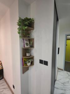 Appartements La Seyne-sur-Mer CHARMANT T3 HAUT DE GAMME ALLIANT ELEGANCE et CONFORT : photos des chambres