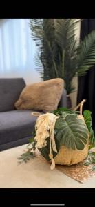 Appartements ☆Loft 35m2 Lyon 6 Menage inclus/pas de check out☆ : photos des chambres