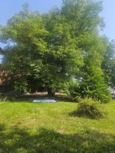 Pensiunea Dealul Leahului