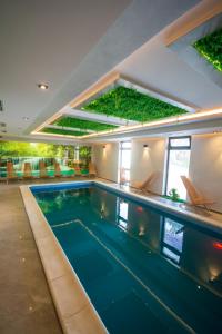 Panorama Tornik Zlatibor P4 apartman