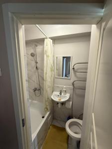 Vieno kambario butas