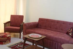 Dolphin suites apartment