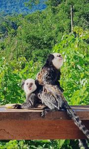 Casa Refúgio Perfeito com Jacuzzi e Churrasqueira privativa