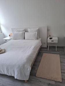 Appartements Appartement cosy proche centre-ville : photos des chambres