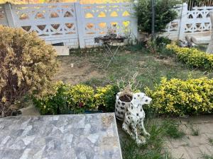Private Villa with sea View in Saros