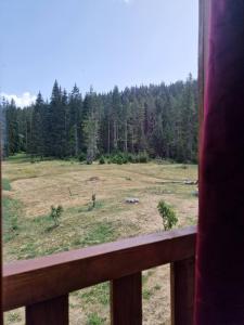 Zminica Ethno house Excalibur