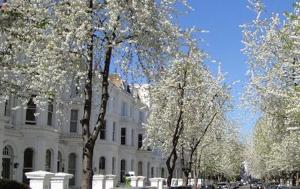 The Brunswick Oasis 2 bedroom in Notting Hill