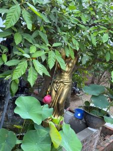 Tran Nguyen Villa Phố Hiến Hưng Yên