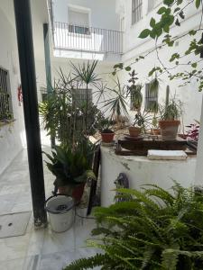 El Oasis de la Chancillería - Parking gratis
