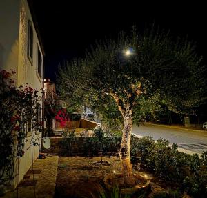 Dimora degli ulivi img31