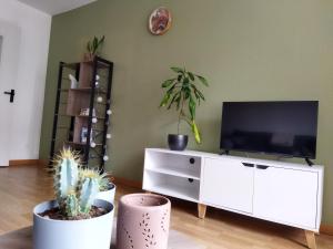 Appartements meuble du Plateau - Nancy centre Gare Tgv : photos des chambres