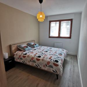 Appartements meuble du Plateau - Nancy centre Gare Tgv : photos des chambres
