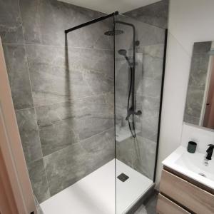 Appartements meuble du Plateau - Nancy centre Gare Tgv : photos des chambres