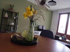 Appartements meuble du Plateau - Nancy centre Gare Tgv : photos des chambres