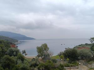 Villa Mimis