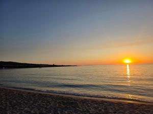 Dimora degli ulivi img41