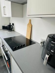 Burton Urban Apartment A