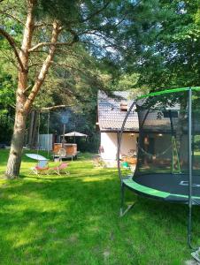 Warmia Forest House - Pod koronami drzew