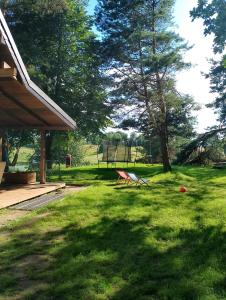 Warmia Forest House - Pod koronami drzew