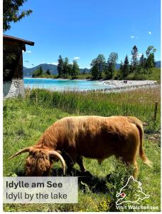 Seeblick Apartment am Walchensee