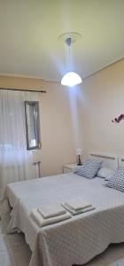 LIENCRES, céntrico, PLANTA BAJA