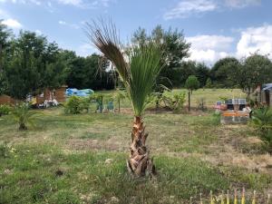 Campings Bulle en Nature Landaise : Chambre Double