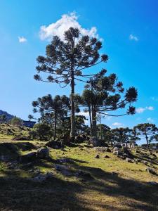 The Altitude Cabana 1374-Black