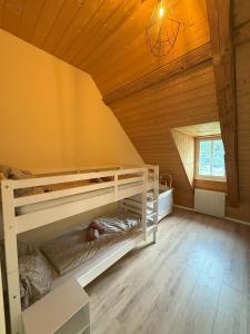 LOFT WINTERZEIT - NEAR INTERLAKEN SPIEZ THUN - Wandern und Skifahren