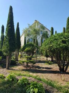 Дом для Души с бассейном целиком