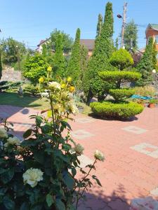 Дом для Души с бассейном целиком