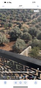 مزرعة وفيلا غابة الارز