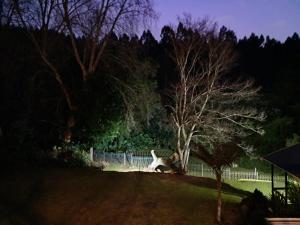 Forest View Studio Apartment