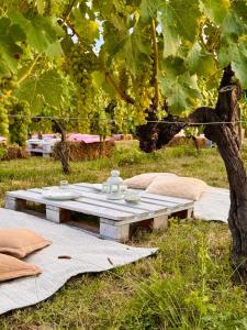 Appartamento VerdeVigna