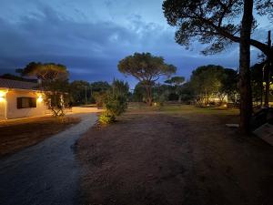 FilMa Seagarden Villa img2