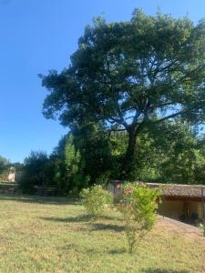 Villas La Croix Montagnere : Villa 3 Chambres