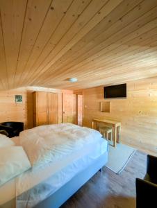 Magnifique chalet avec vue Centre Champéry