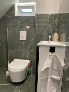 Hc MAKSIMIR REBRO CENTAR