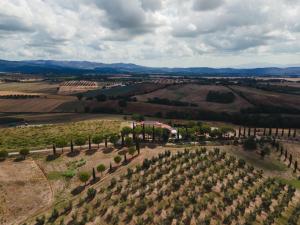 Tenuta Poggio Piero