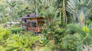 Oxygen Jungle Villas & Spa