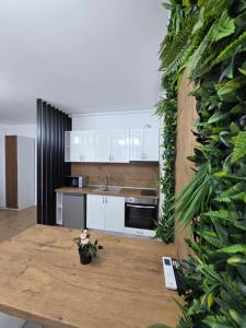 Ivory Green Studio - Free Parking