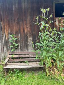 Ferienhaus Glücklich am Bach