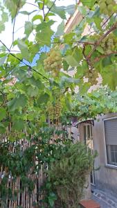 Casa del Glicine img27