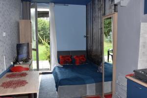 Agroturystyka Staw i koza