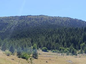 Zelena dolina Zminica