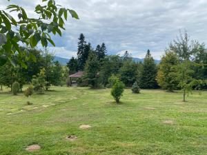 Casa- Dealu Leahului