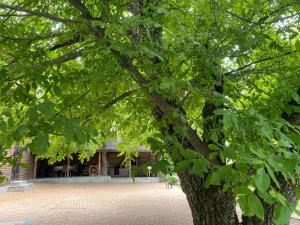 Casa- Dealu Leahului