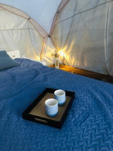 Virši Mājīga Māja