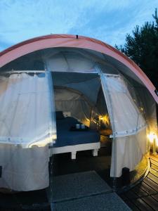 Virši Mājīga Māja