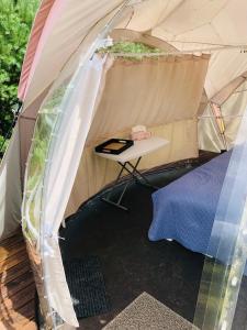 Virši Mājīga Māja